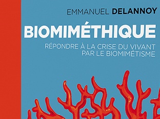 Biomiméthique : Répondre à la crise du vivant par le biomimétisme