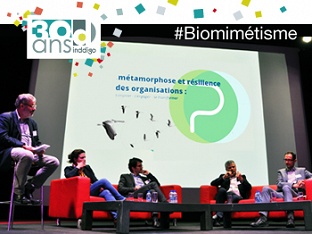 #5 « Demain, réconcilier le vivant par le biomimétisme » était le thème notre évènement anniversaire, à Paris en avril