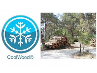 Inddigo est partenaire de CoolWood®, programme de recherche de l'Agence Nationale de la Recherche (ANR)