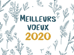 Toute l’équipe d’Inddigo vous souhaite une très belle année 2020 !