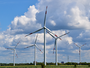 Demande d’autorisation environnementale unique de 5 parcs éoliens