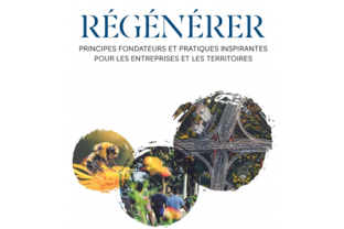 Régénérer : principes fondateurs et pratiques inspirantes pour les entreprises et les territoires