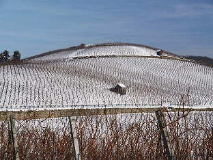 Bientôt une Cité des vins et des climats à Beaune en Bourgogne