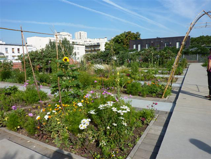inddigo biodiversité