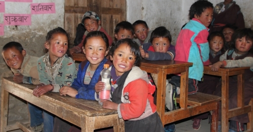Action Dolpo