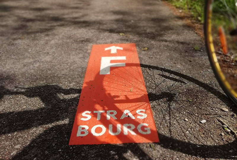 Photo du jalonnement au sol d’une piste cyclable pour les vélos à Strasbourg.